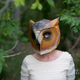 Illustration for article titled These Paper Masks Are Halloween Costumes Made Easy